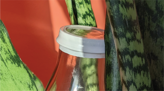 white shrink band applied to bottle surrounded by plants